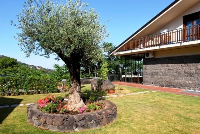 Etna Hut Panzió Nicolosi Kültér fotó